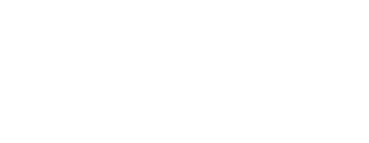 ABASTIBLE