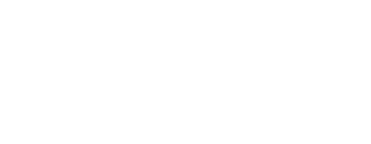 AGUNSA
