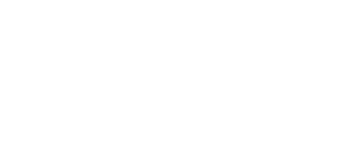 FUNDACIÓN LUKSIC